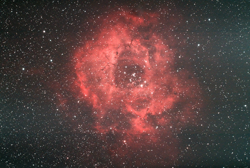Rose 2hr45min30sec V4S2.jpg