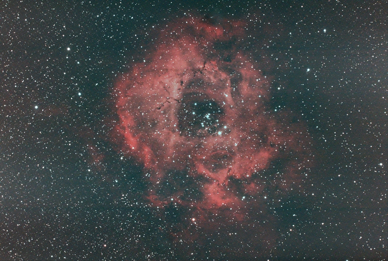 Rose 2hr45min30sec V4S3.jpg