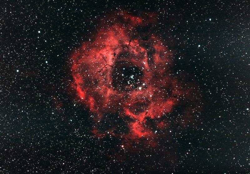 Rose 2hr45min30sec V5.jpg