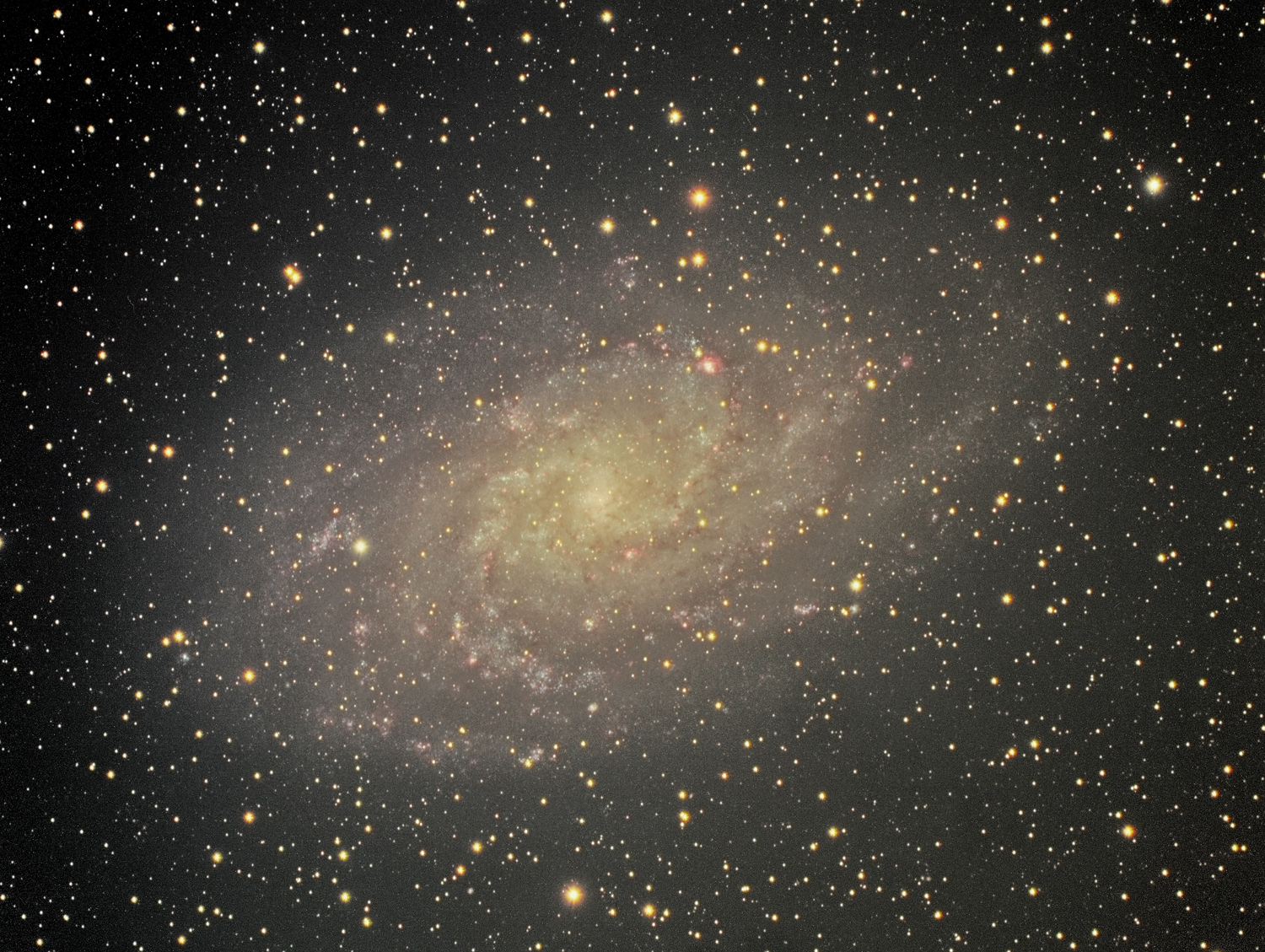 M 33 PS  900s X 13 L RGX9BX8 HDR 2 s.jpg