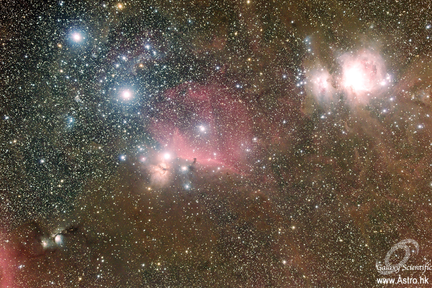 Orion 40x600s.jpg
