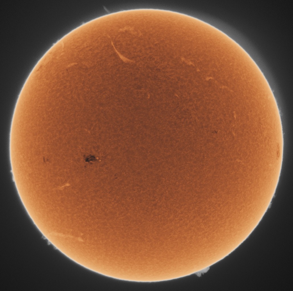 08083528_00000056a.jpg