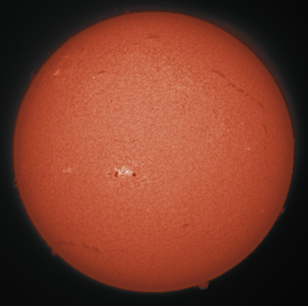 08083528_00000023a.jpg