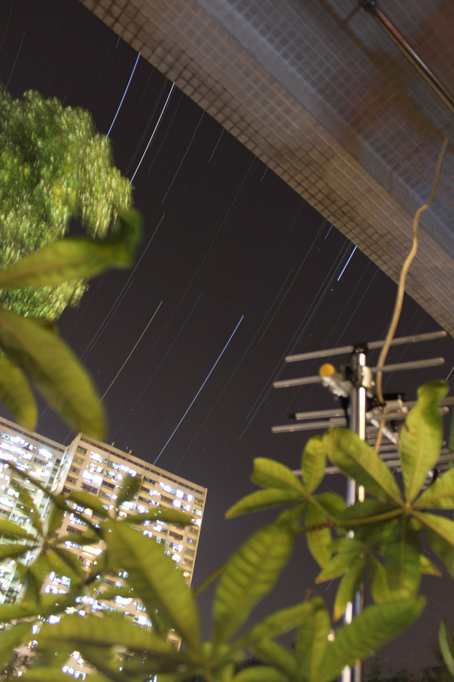 Startrails.jpg