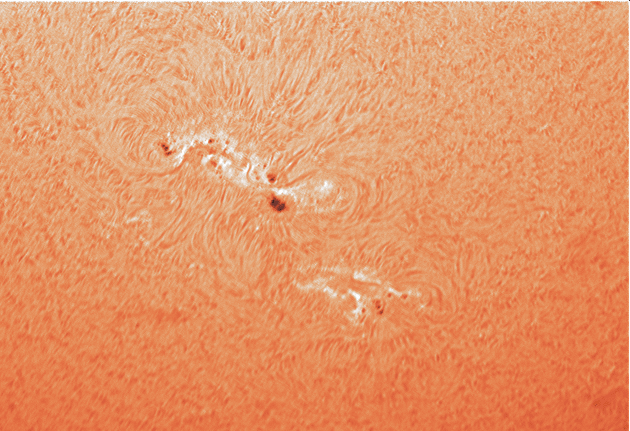 AR1429_1.gif