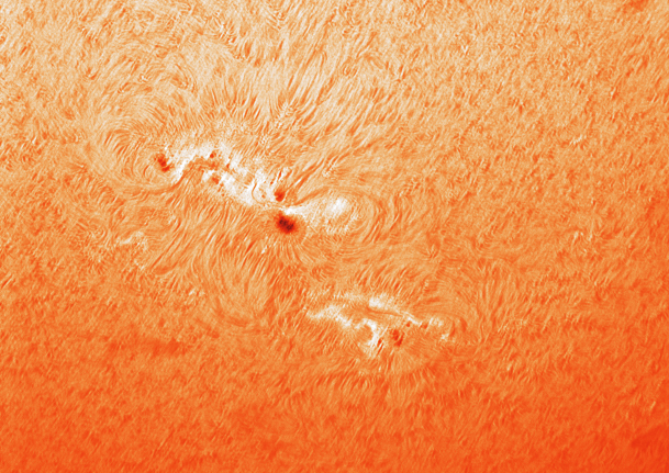 AR1429_2.jpg