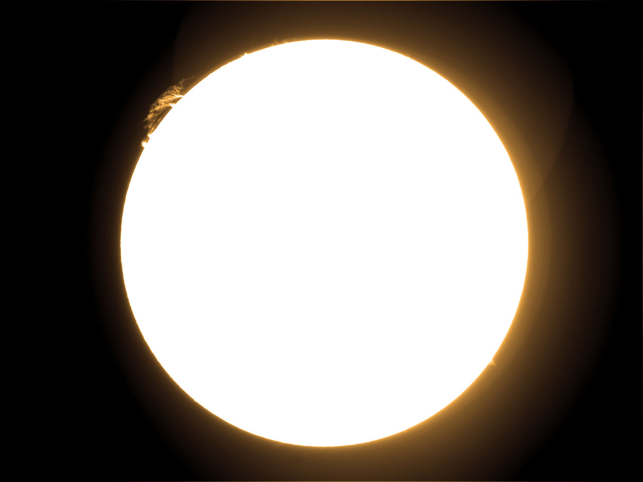 video0003_2_PS_2.jpg
