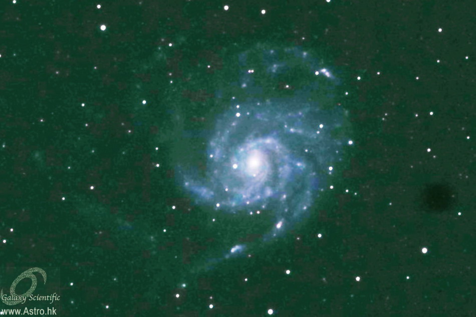 Copy of M101.jpg