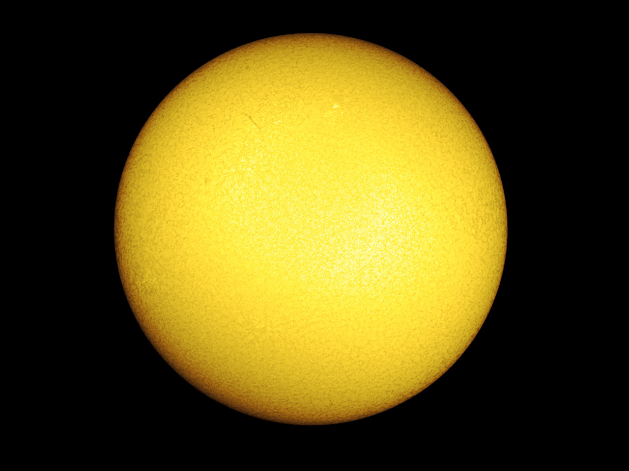 LS35T0031_3.jpg