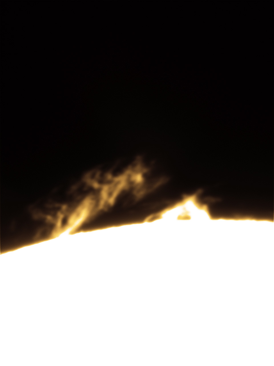 LS35T0038_2.jpg