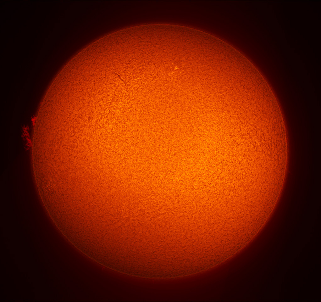 LS35T0027_1_pre.jpg