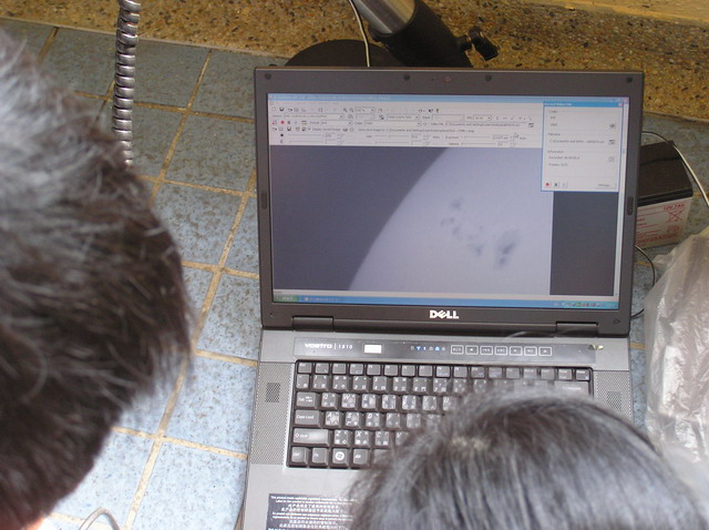 P1010013.JPG