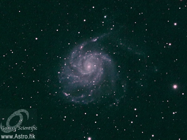 Copy of M101P.JPG