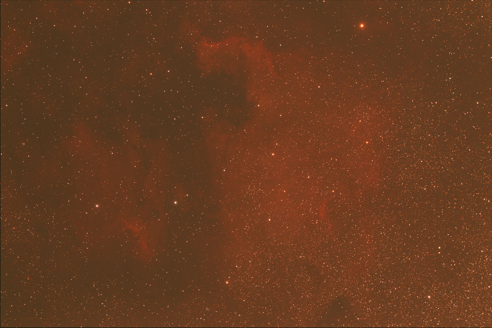 North American Nebula_105 650_Riccardi_Dark_Flat_PS_1600.jpg