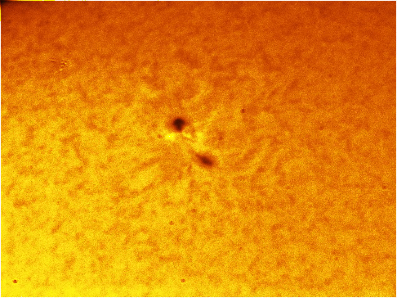LS35T0010_1.jpg