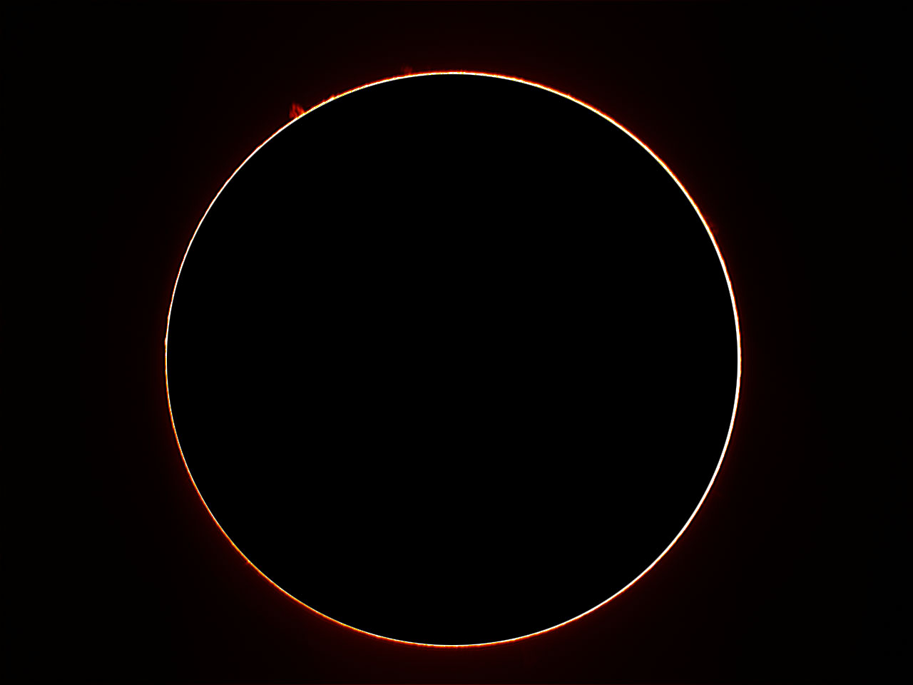 LS35T0003_1.jpg