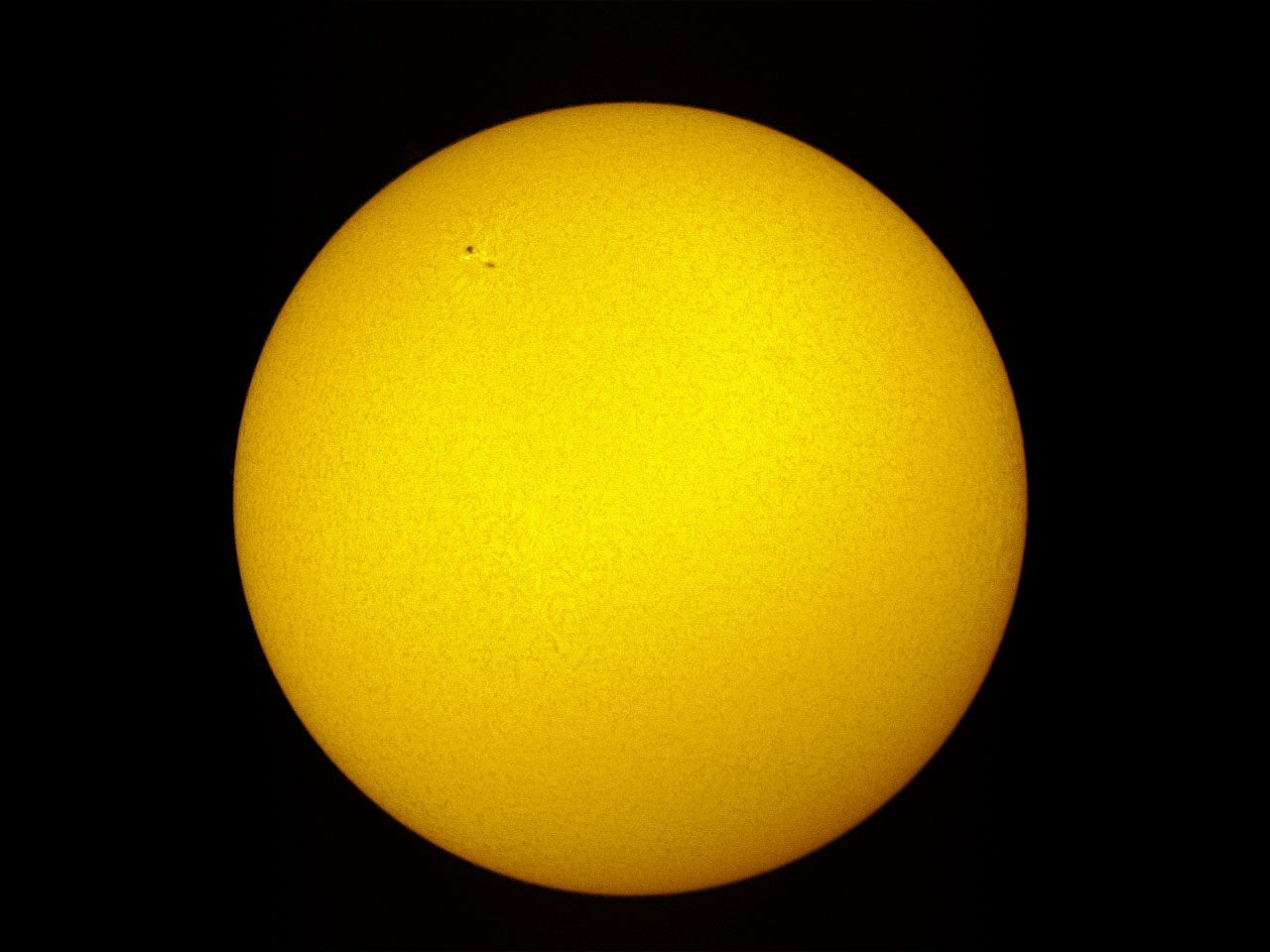 LS35T0002_1.jpg