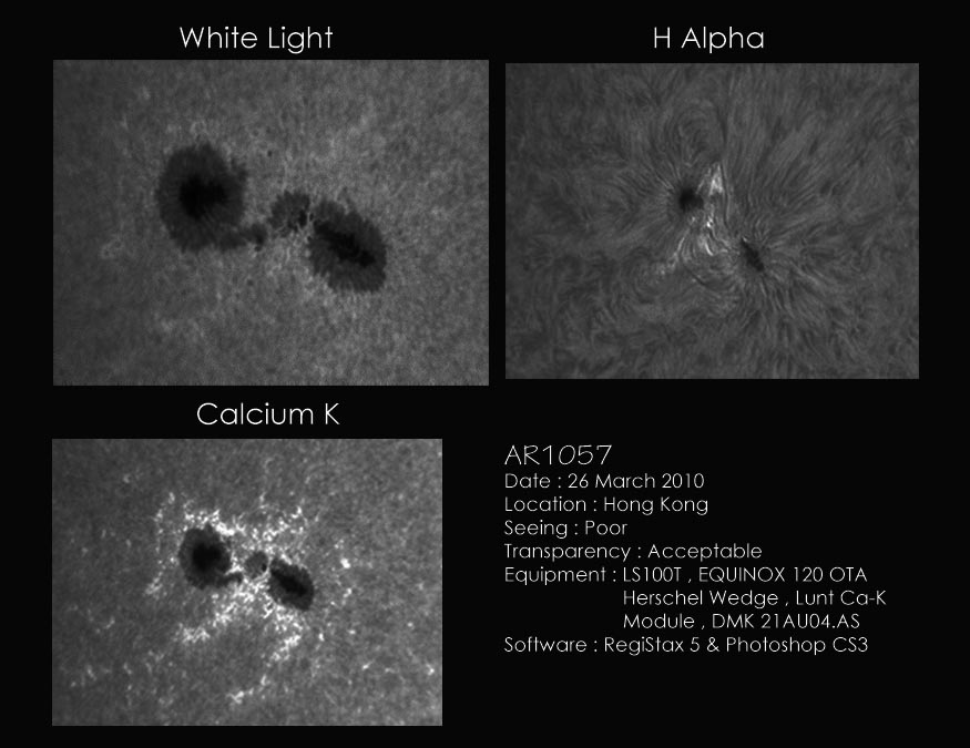 AR1057bw.jpg
