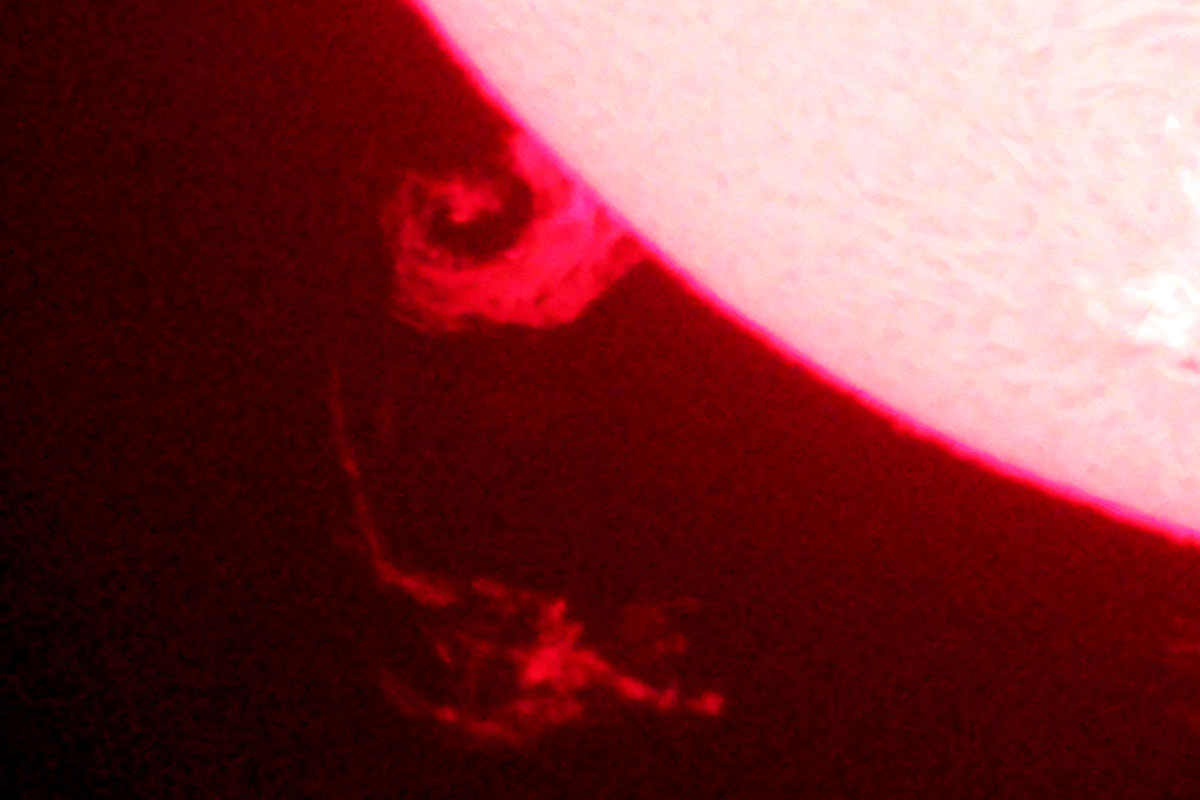 DSC02219 Resize.jpg