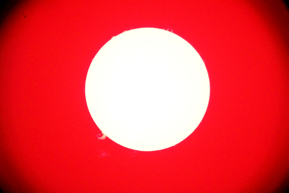 DSC02212 Resize.jpg