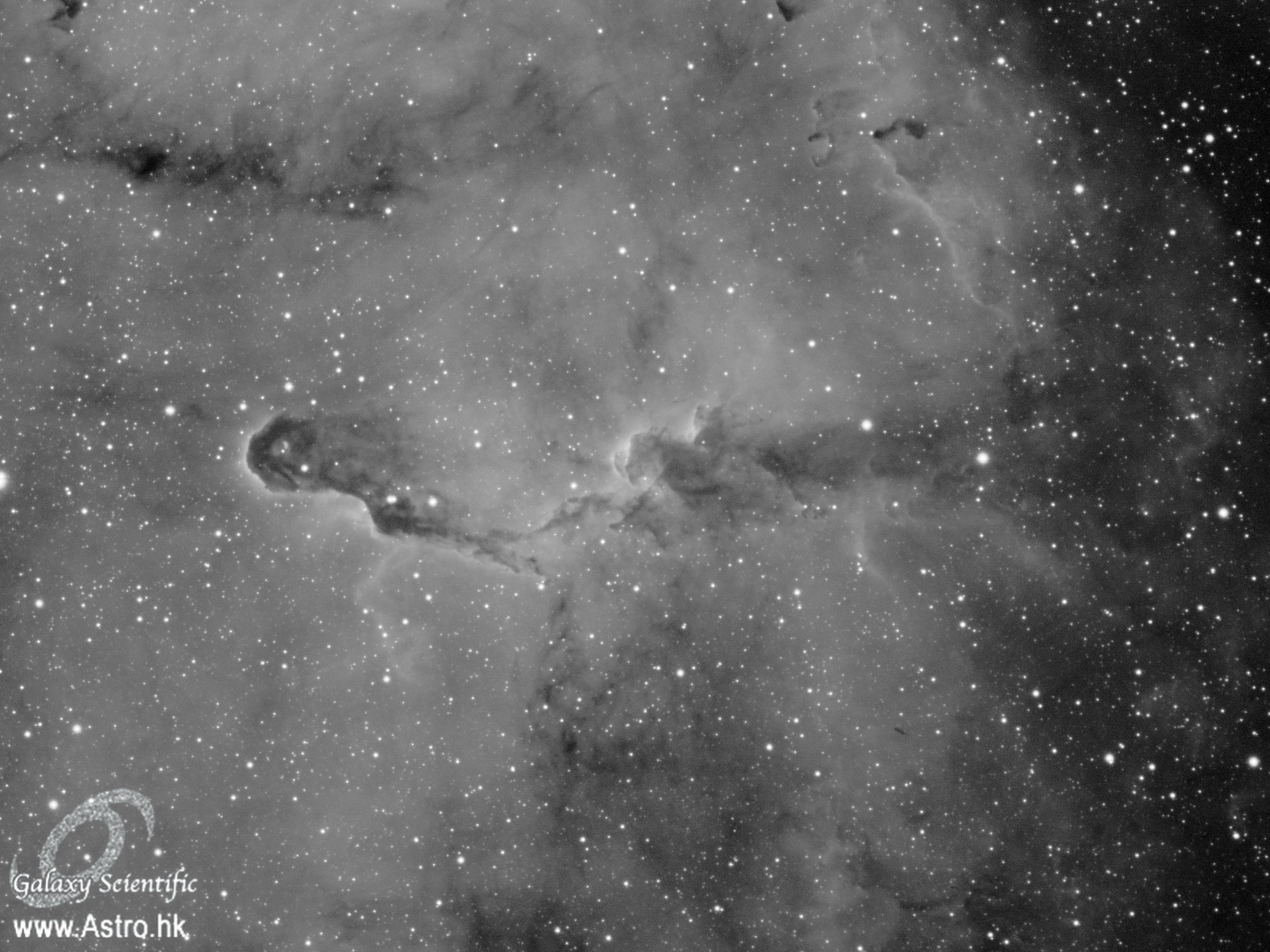 IC 1396 11x1800s ver1 crop.JPG