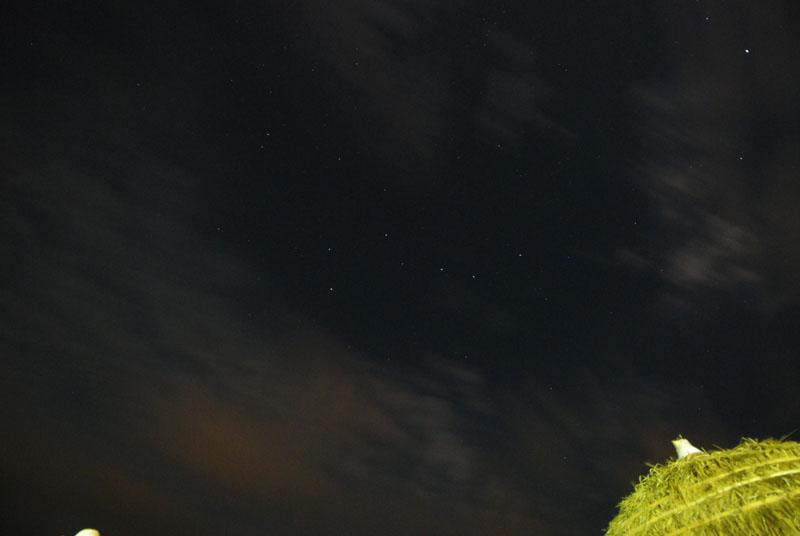 DSC_3063_s.jpg