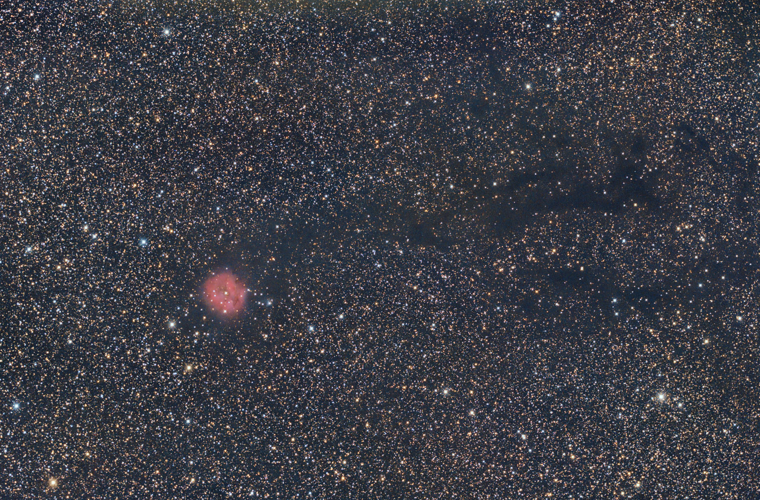 IC5146a.jpg