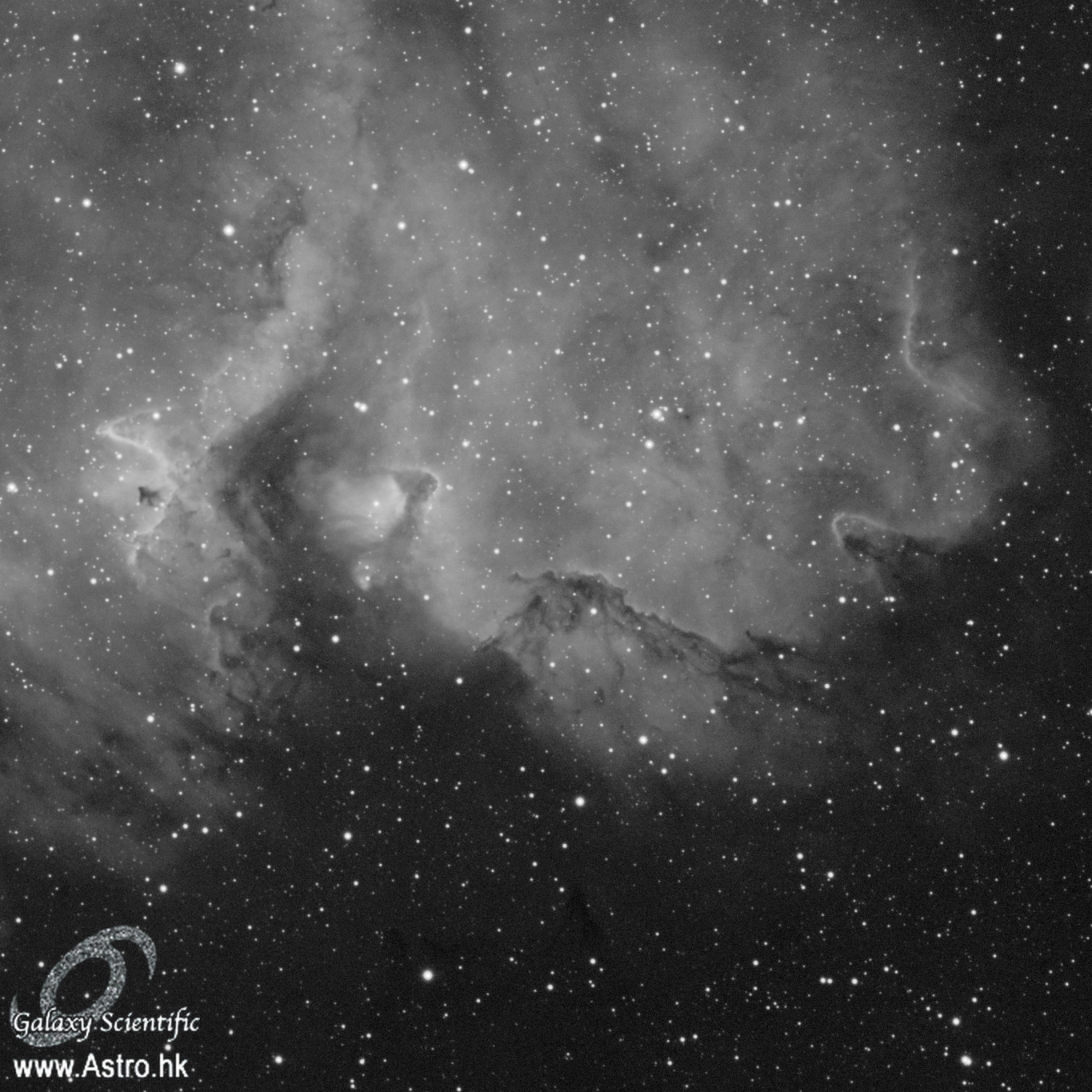 IC1848 ver1 crop.JPG