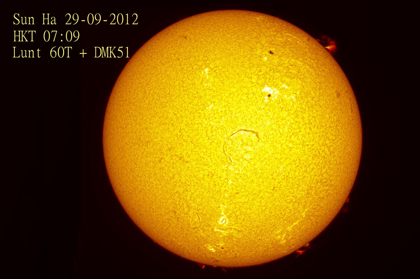 Sun Ha 20120929.jpg