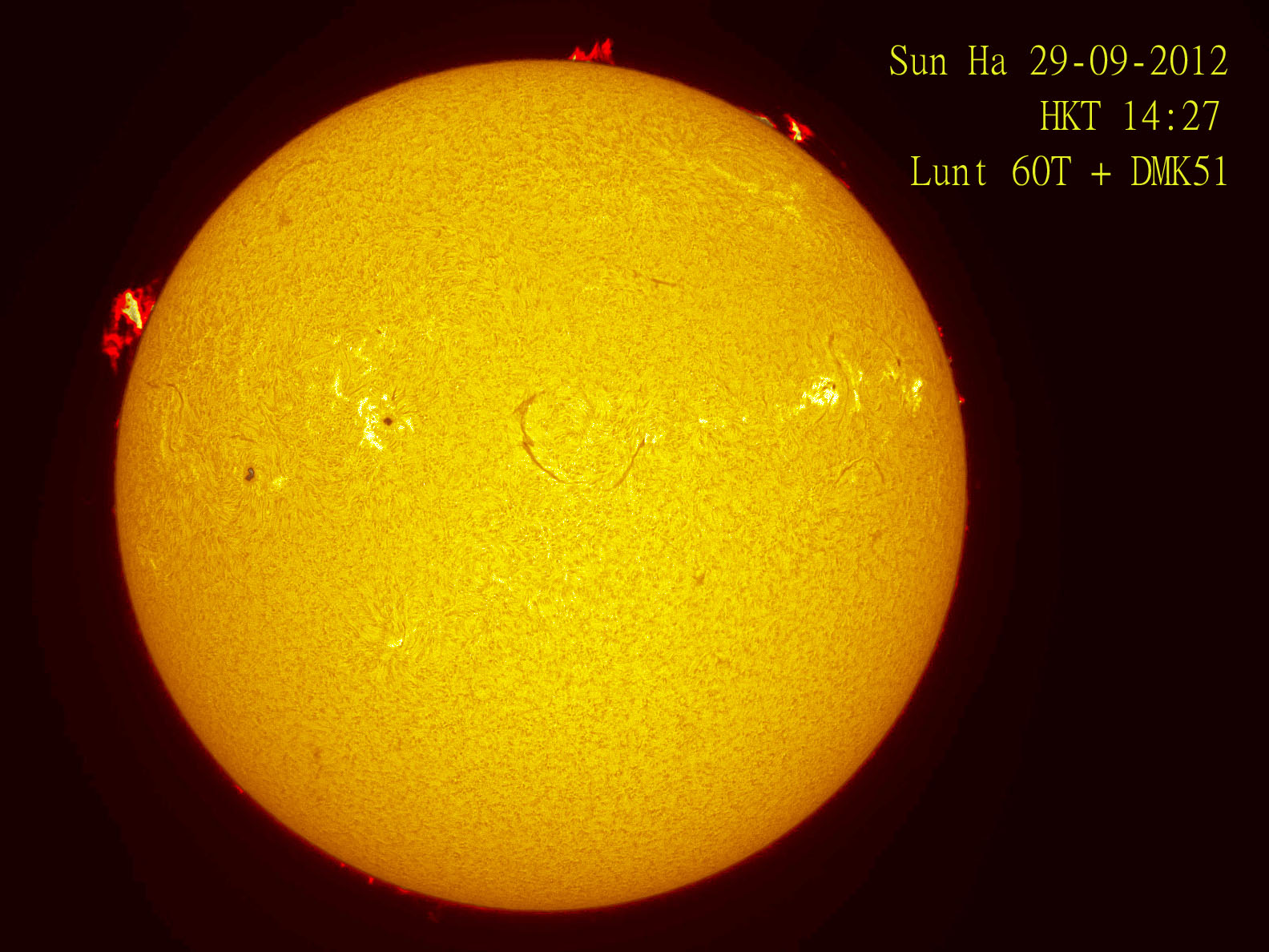 Sun Ha 20120929 PM.jpg