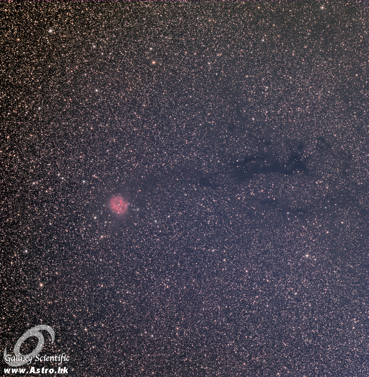 IC5146 LRGB resized.JPG