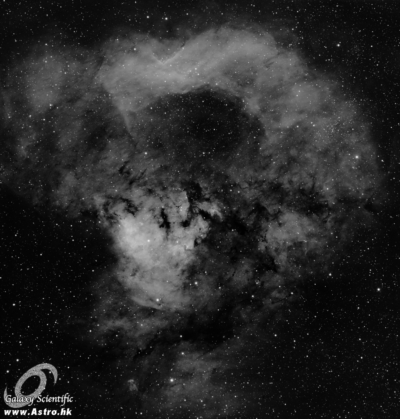 NGC7822 12x1200s ver1 resized.JPG
