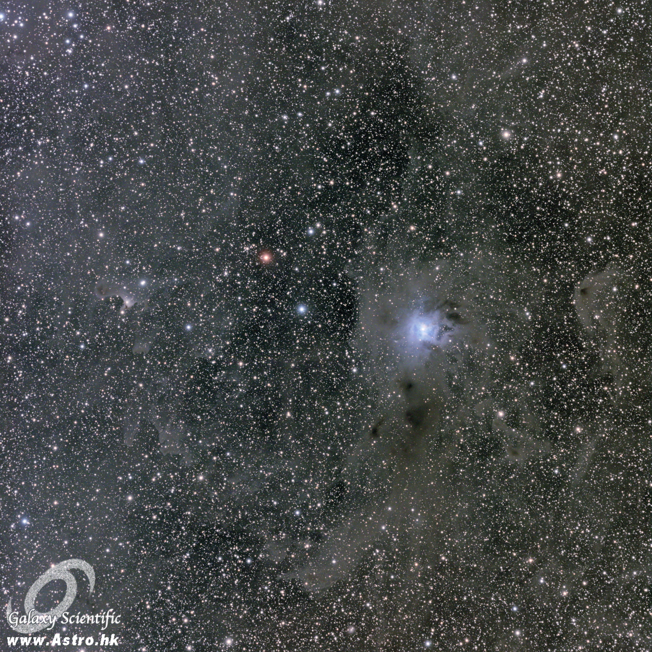 NGC7023 Iris VdB141 LRGB resized.JPG