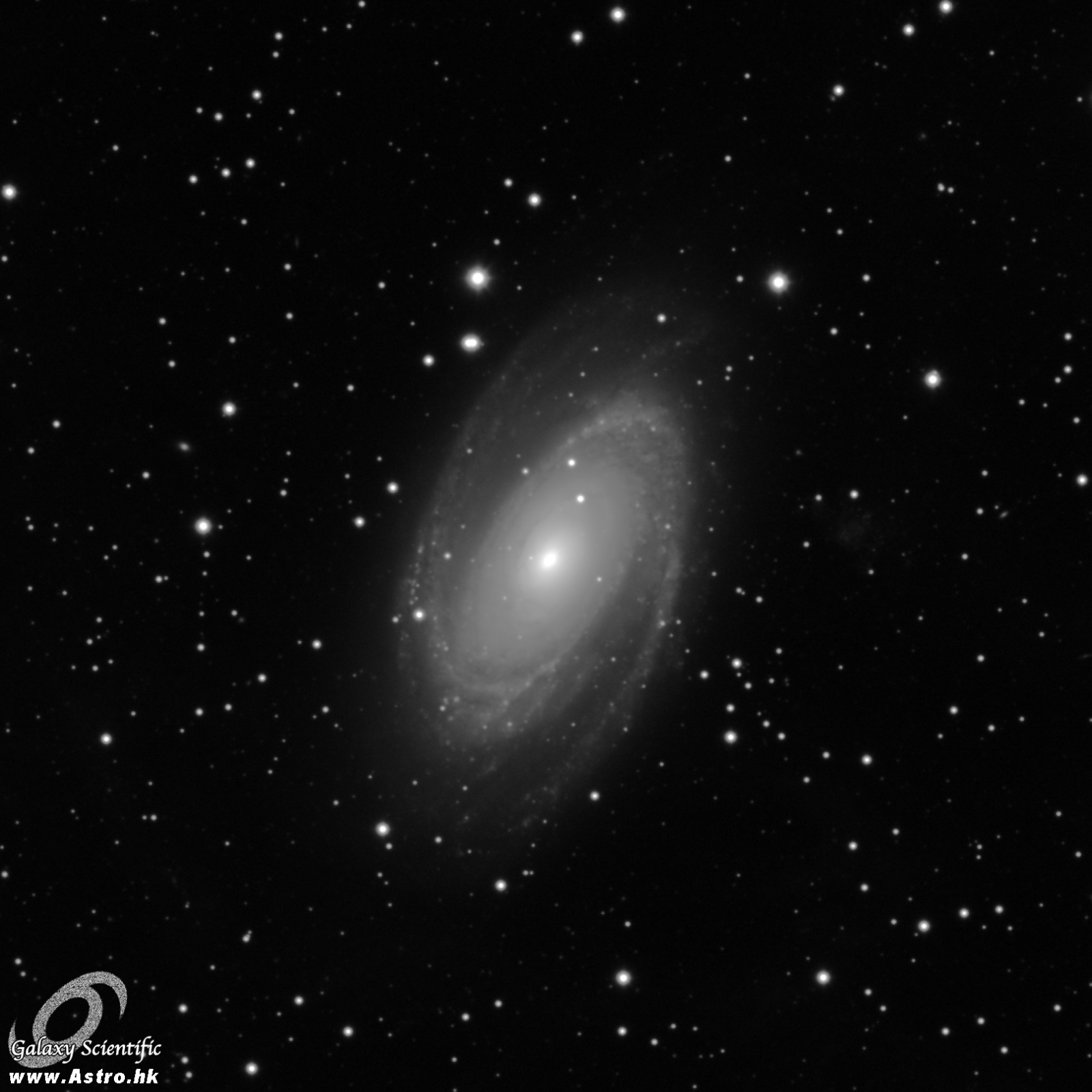 M81 ver2.JPG