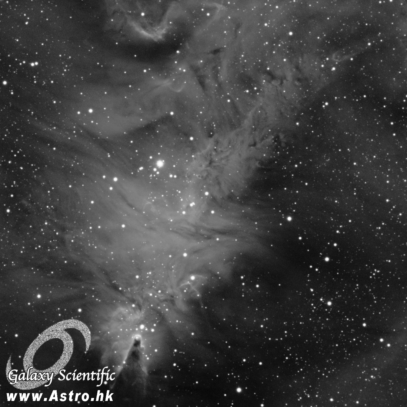 Fox_Fur 9x1800s Ha ver2 crop.JPG