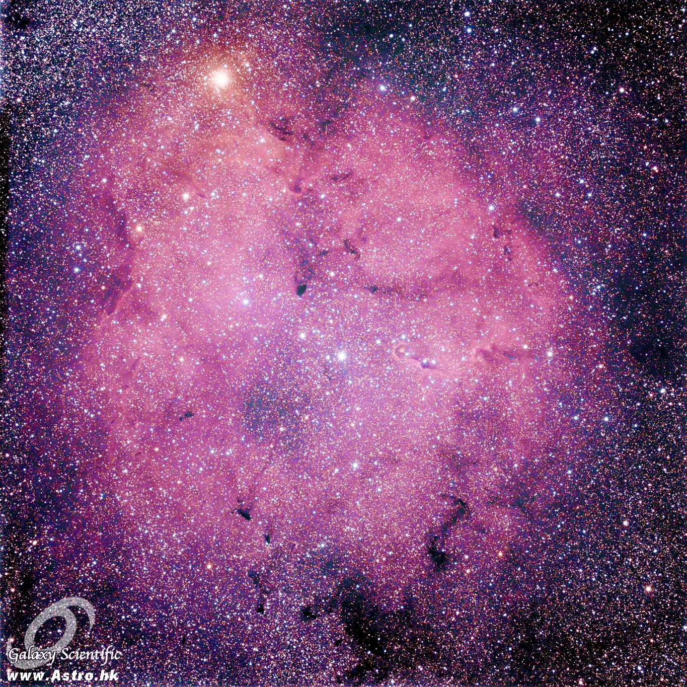 IC1396 5D2 16803 resized.JPG