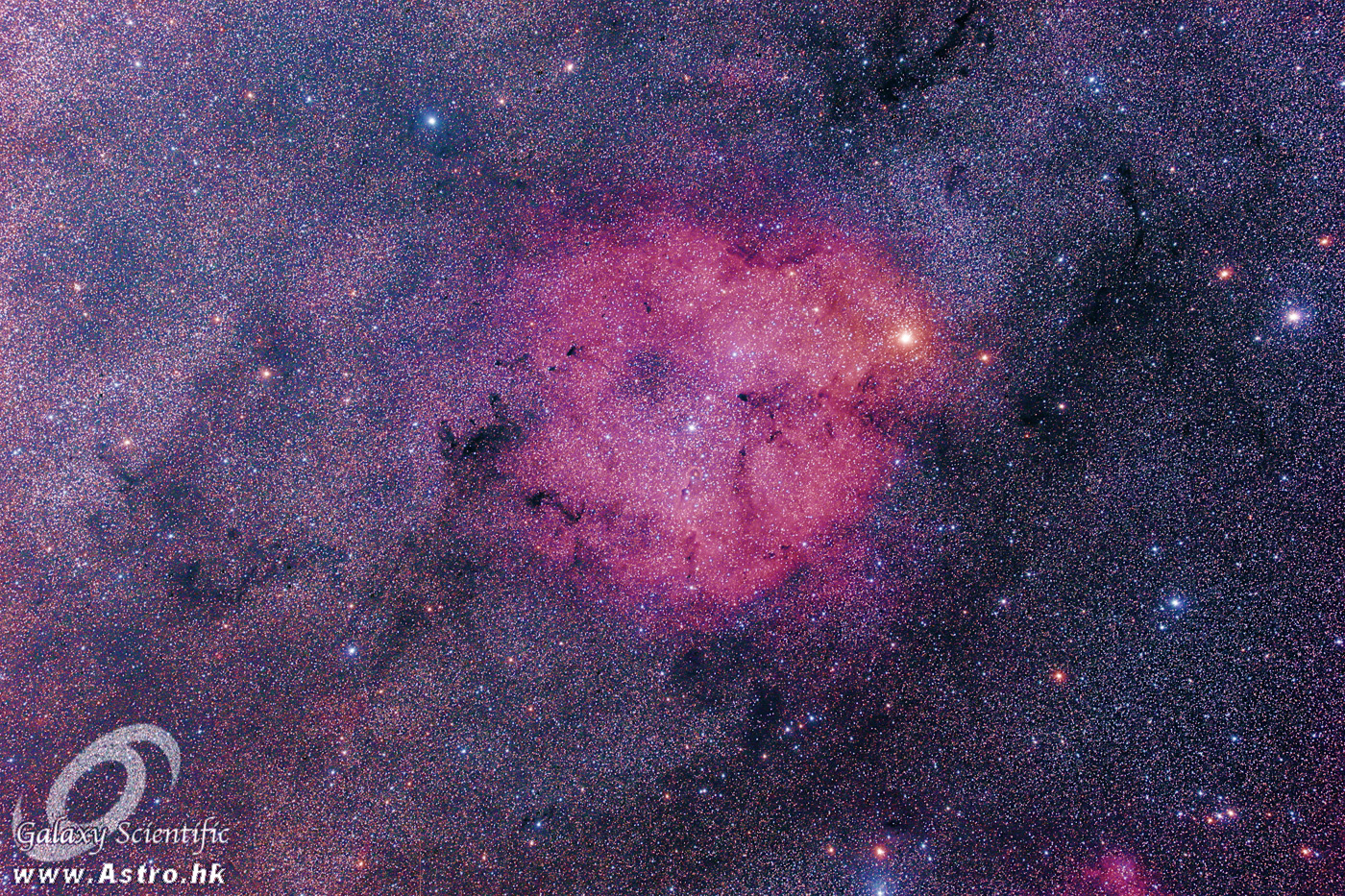 IC1396%208x600s%20ver2%20resized.JPG