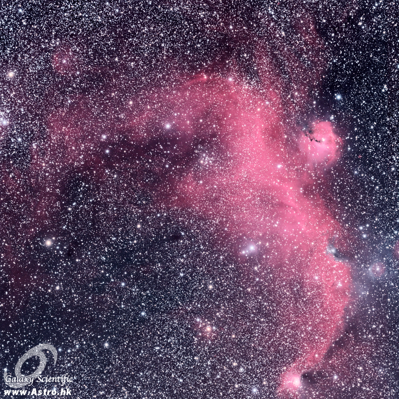 IC2177 LRGBHa Resized.JPG