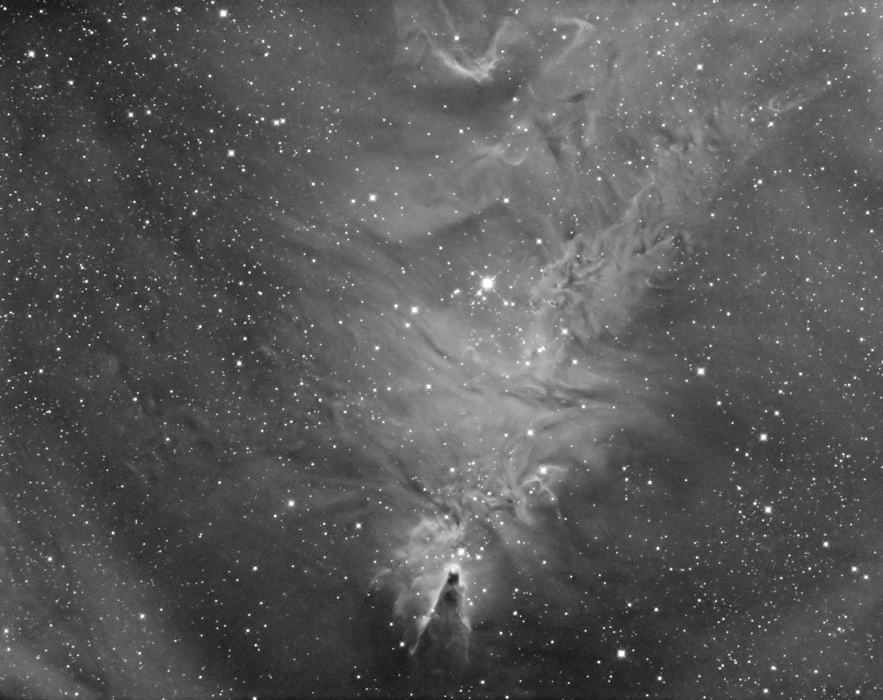NGC2264_Ha.jpg