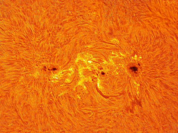 AR1654.jpg