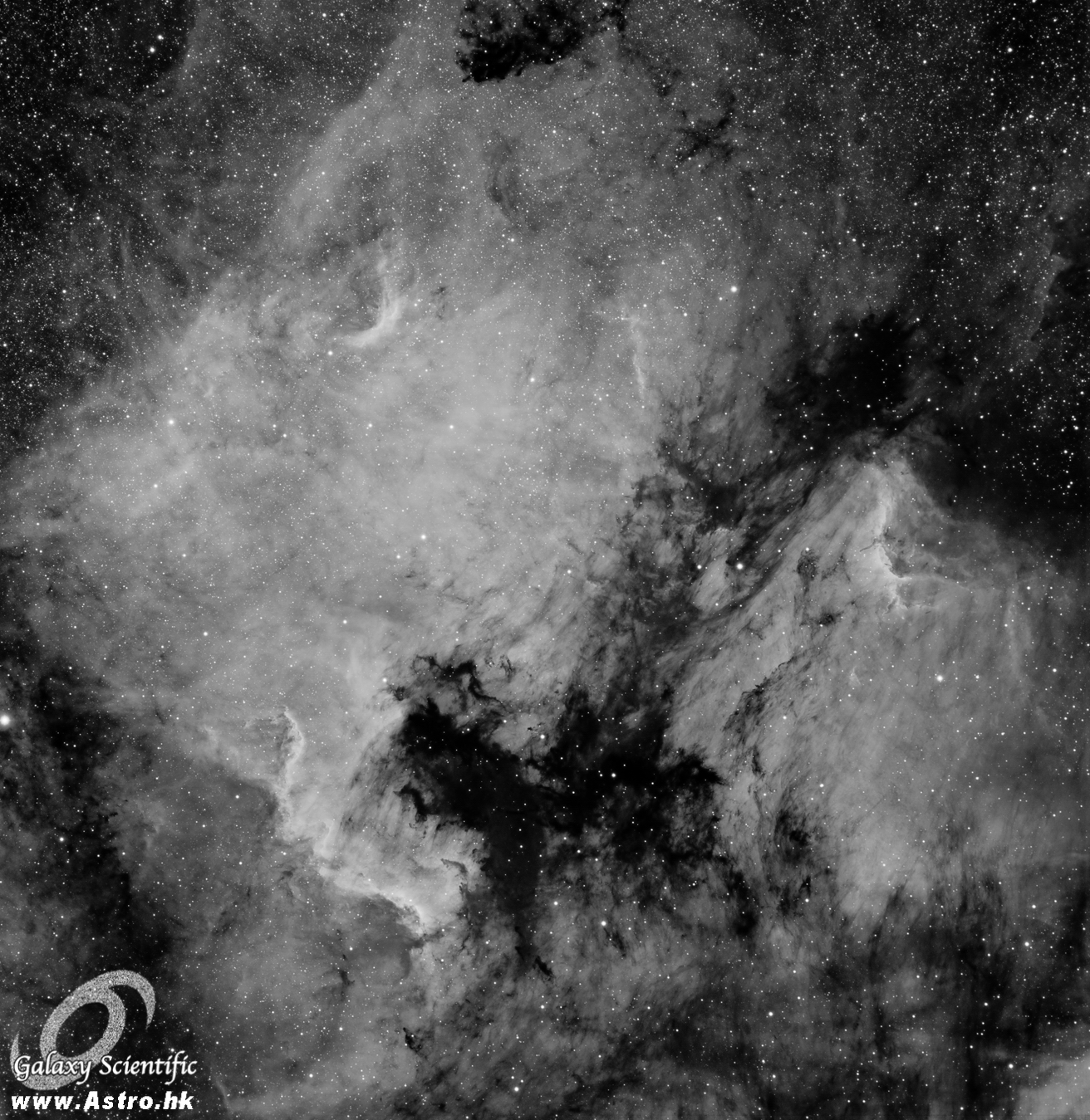NGC7000 Ha 8x1800s v1 r1.JPG