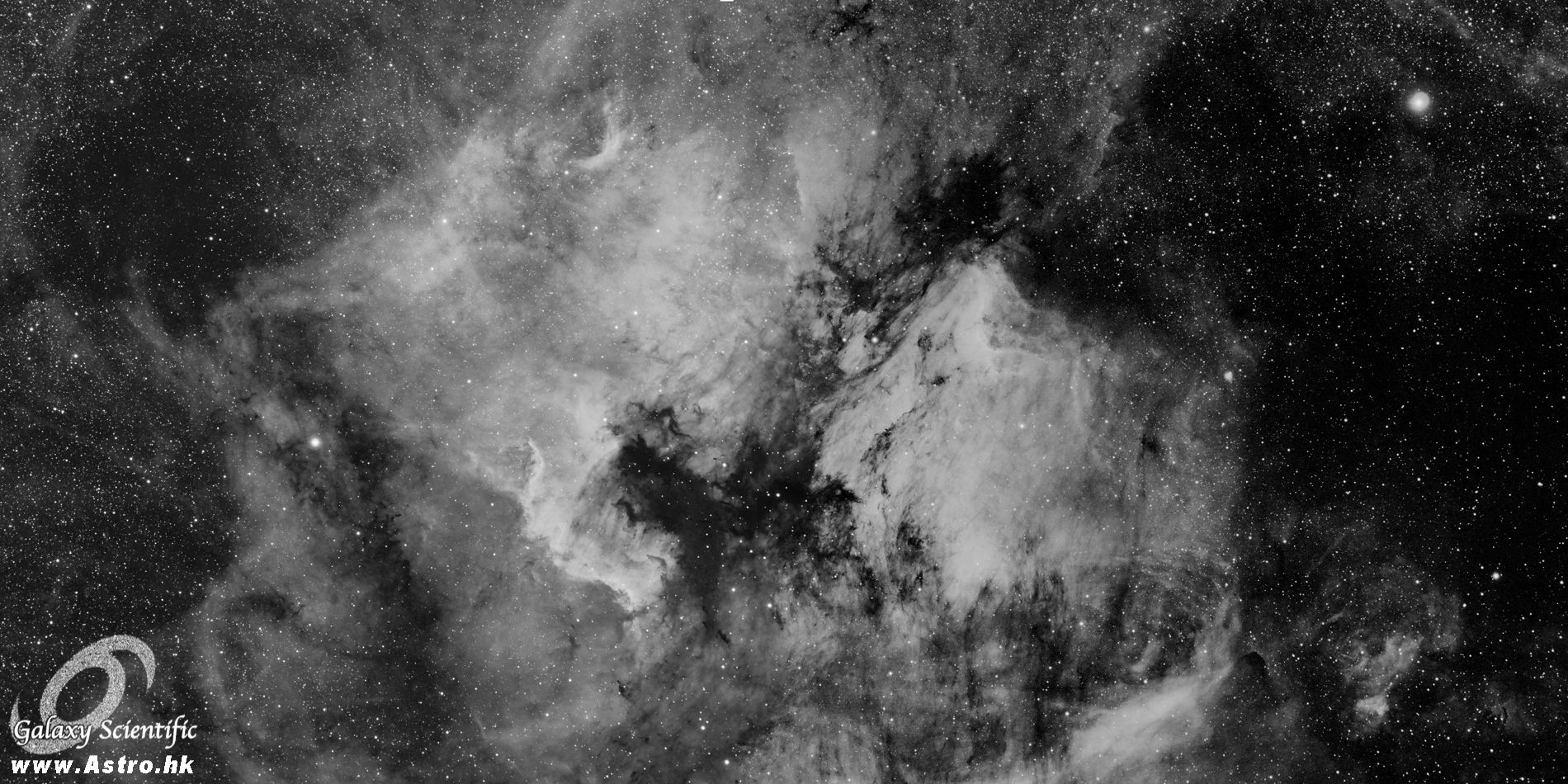 NGC7000 Mosaic r1.JPG