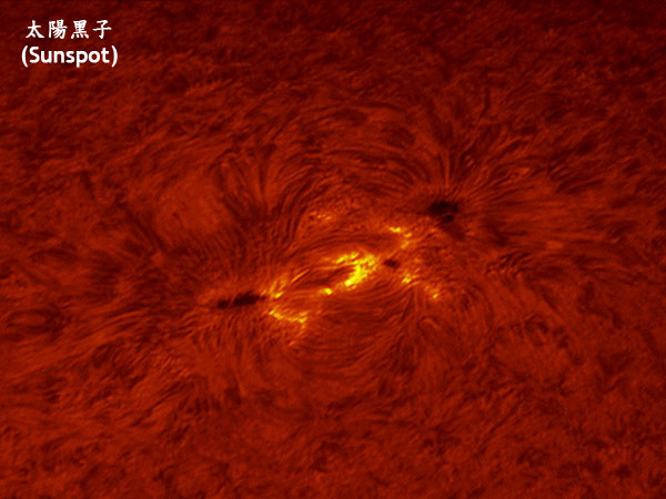 20090708AR1024.jpg