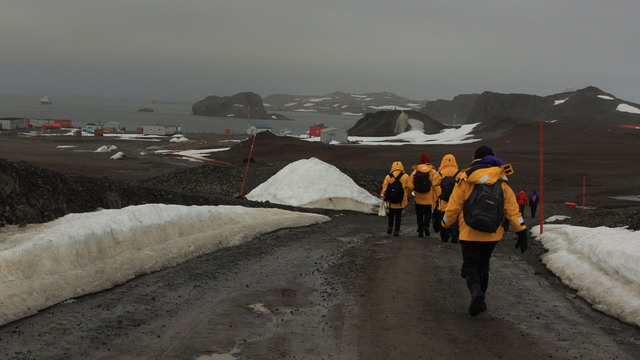 IMG_5954.JPG