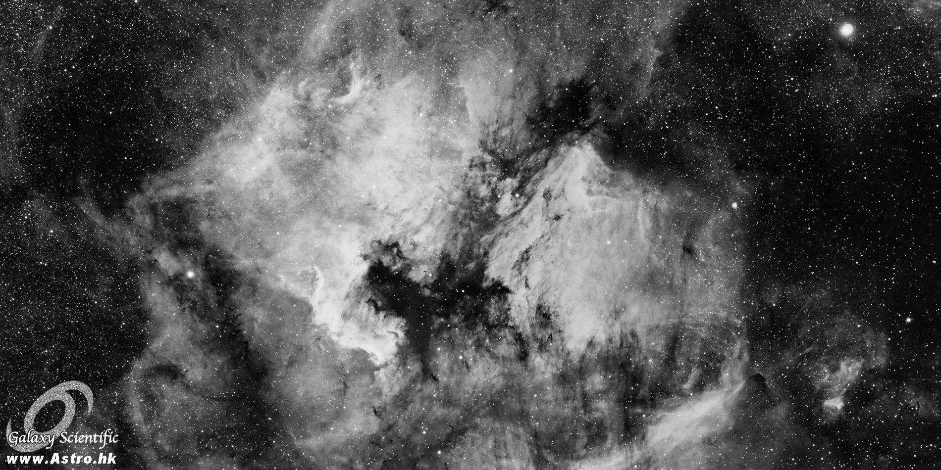 NGC7000 Mosaic II r1.JPG