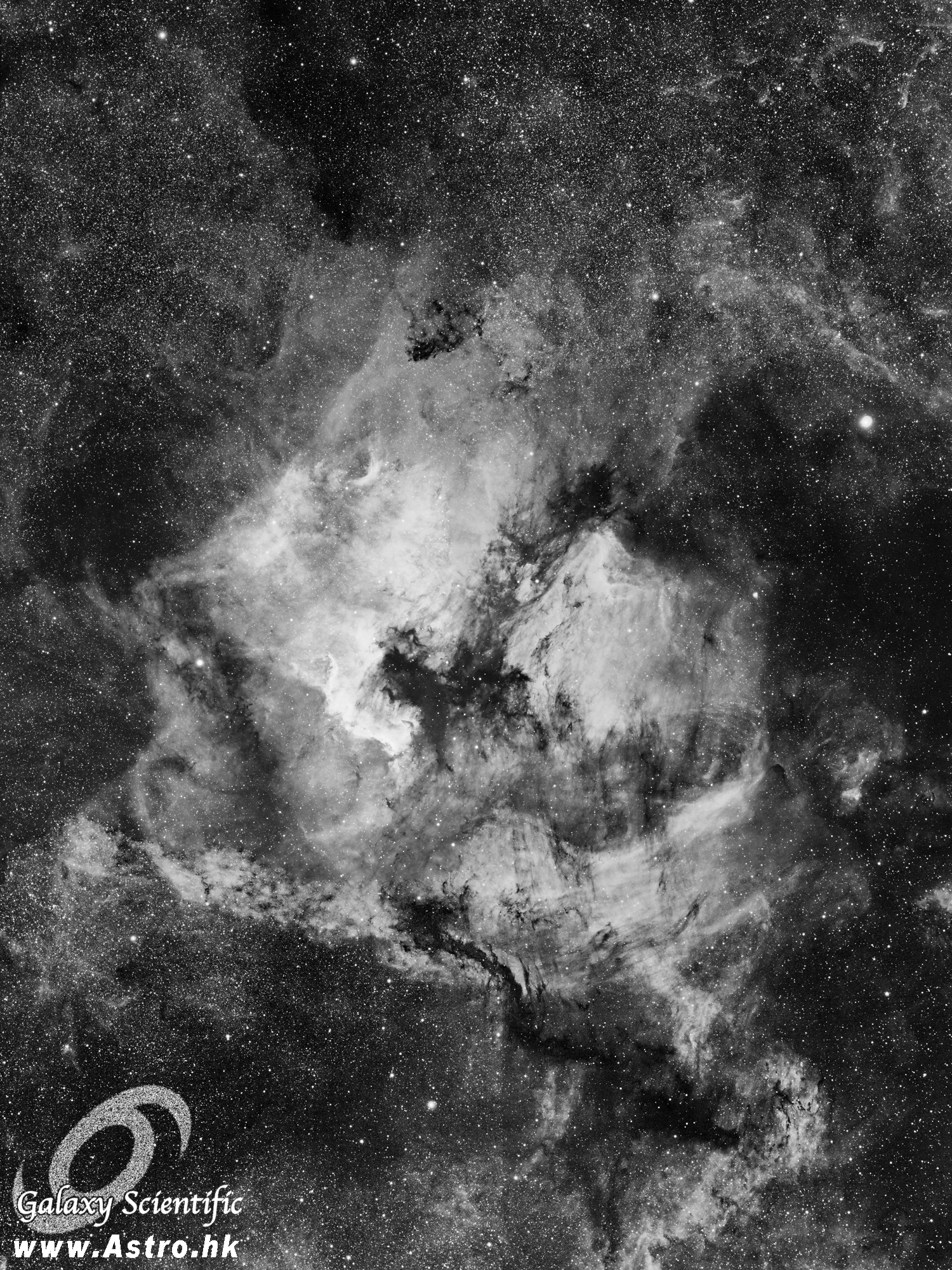 NGC7000 Mosaic III r1.JPG