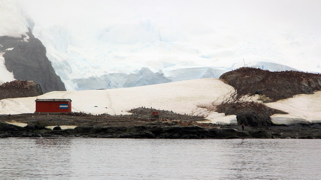 IMG_5985.JPG