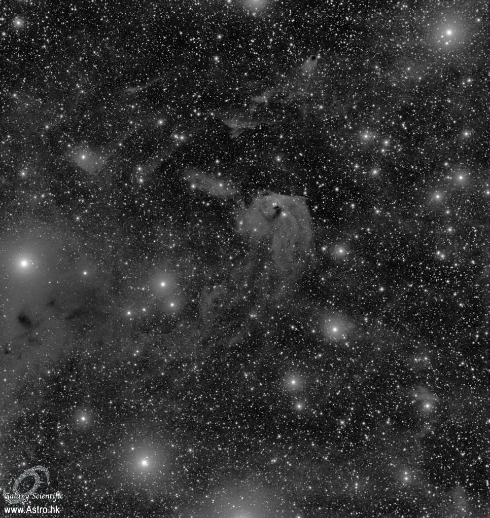 NGC1555 4x1200s L v2 r1.JPG