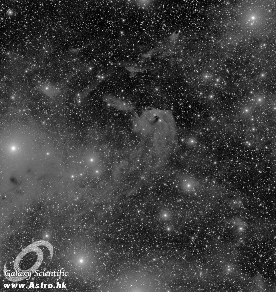 NGC1555 8x1200s L v1 r1.JPG