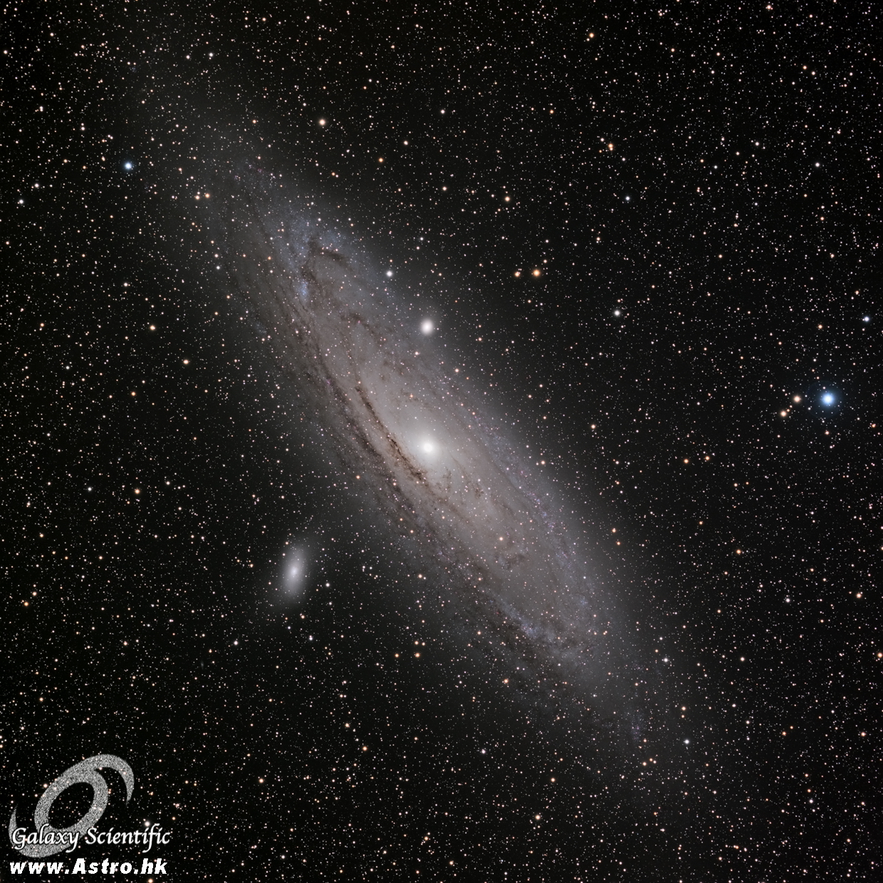 M31 LRGB r1.JPG